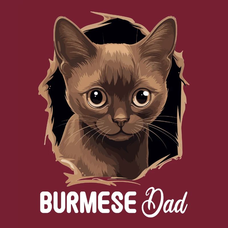 Chat birman Birmanie Katze