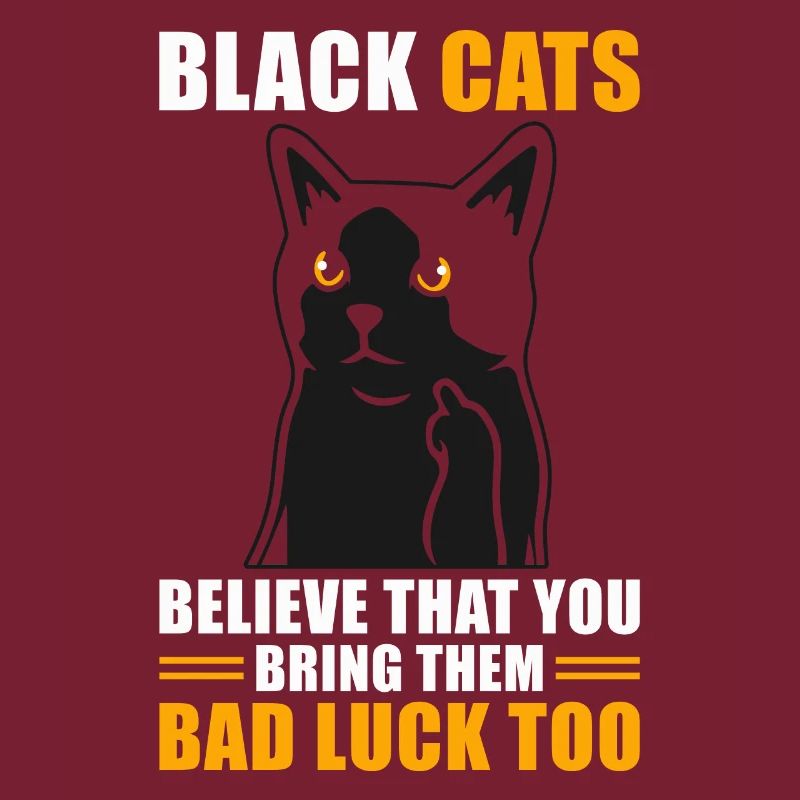 Superstition Black Cat