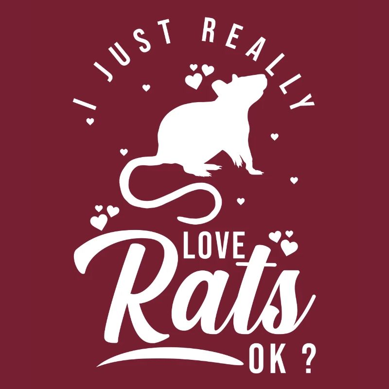 Gift for rat lovers