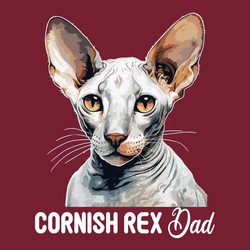 Cornish Rex Kätzchen Cornish Rex Katze