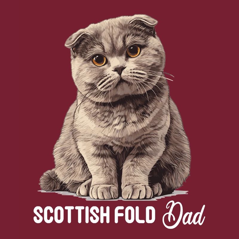 Scottish Fold Kätzchen Scottish Fold Katze