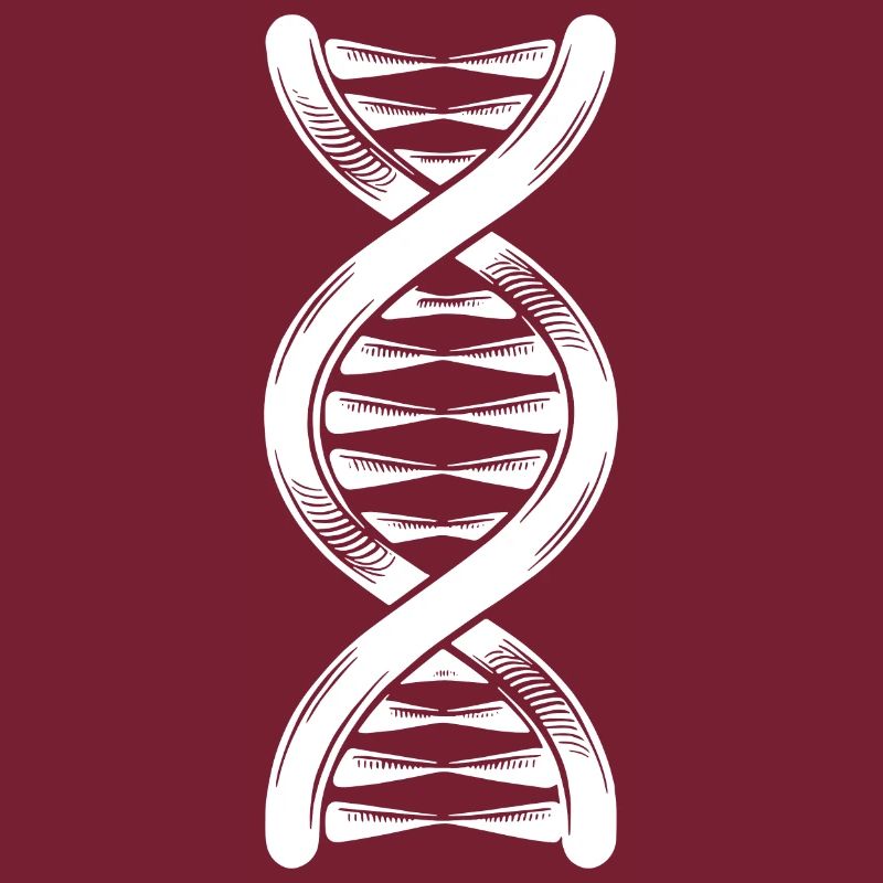 DNA strand double helix with hydrogen bonds