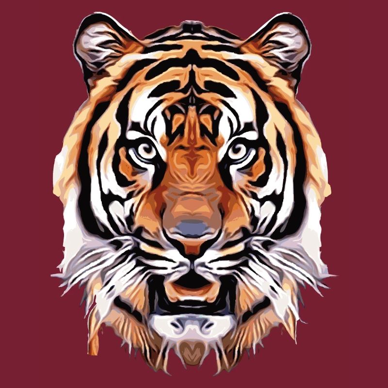 Majestic Tiger – Strength and Elegance