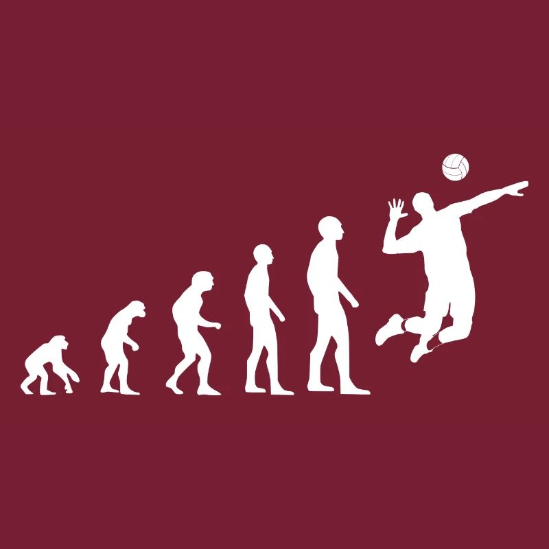 Evolution du volleyball