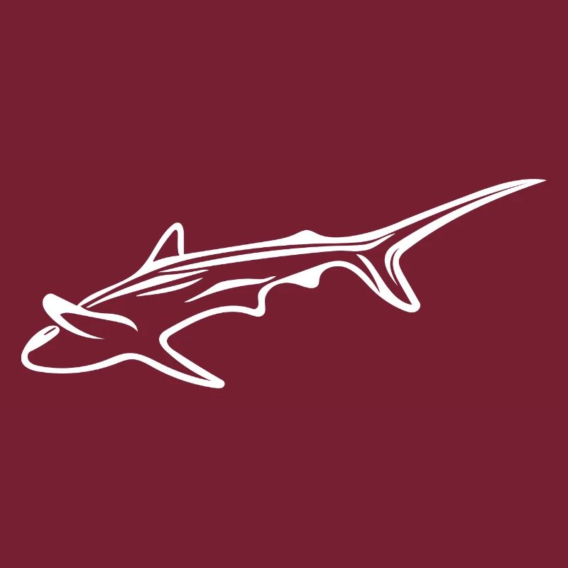 Requin élégant dans le courant de dérive