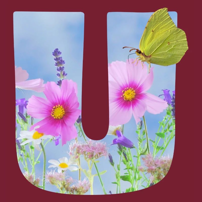 fleurs de printemps papillon u
