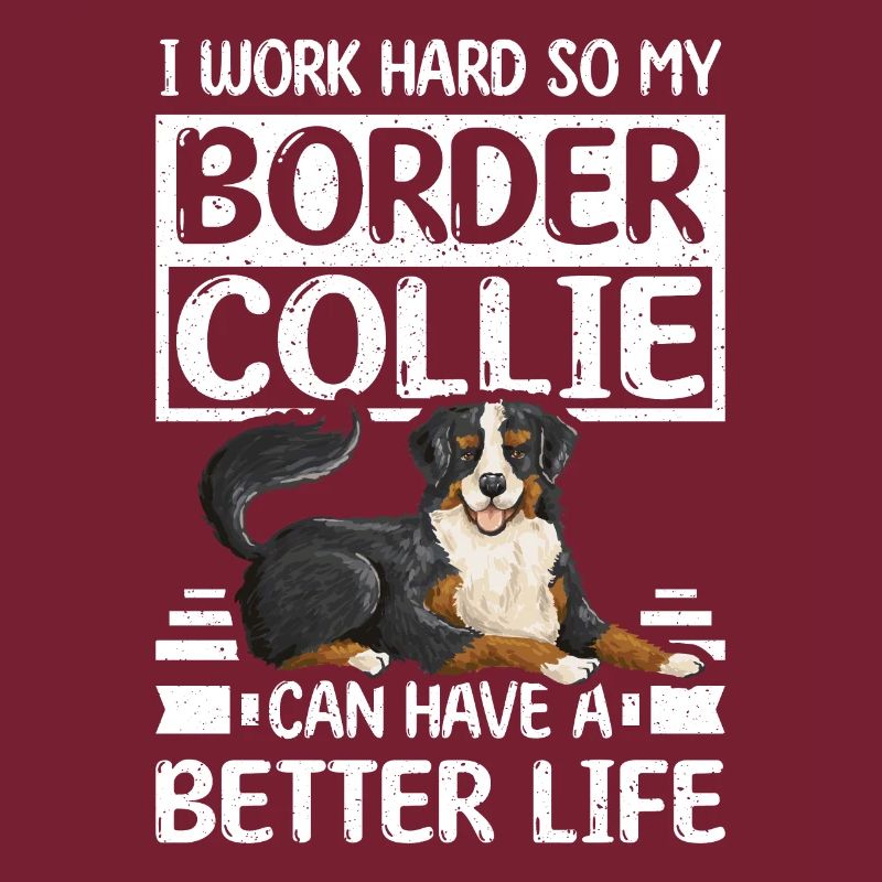 work hard border collie can have a better life