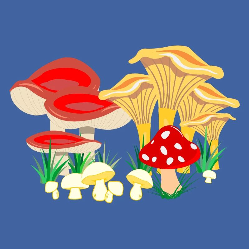 Composition colorée des champignons