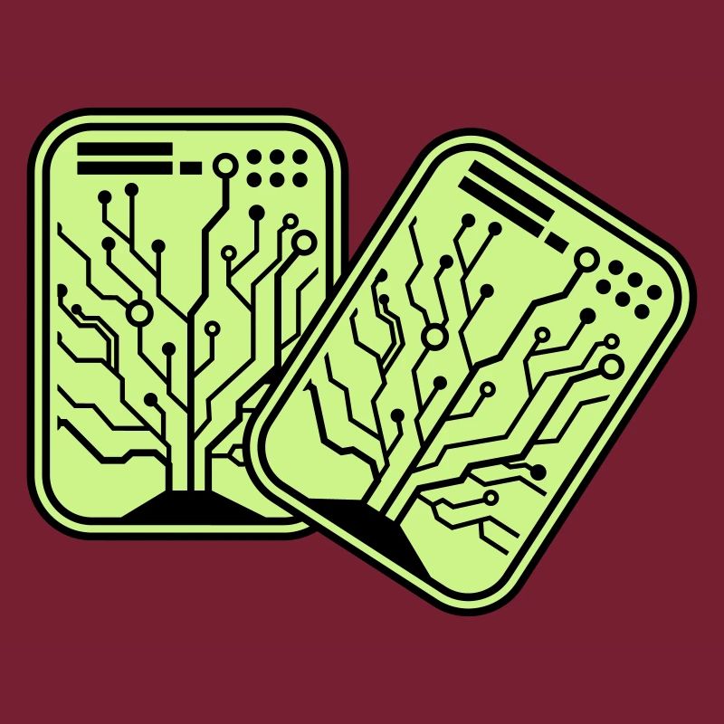 micro chip 2