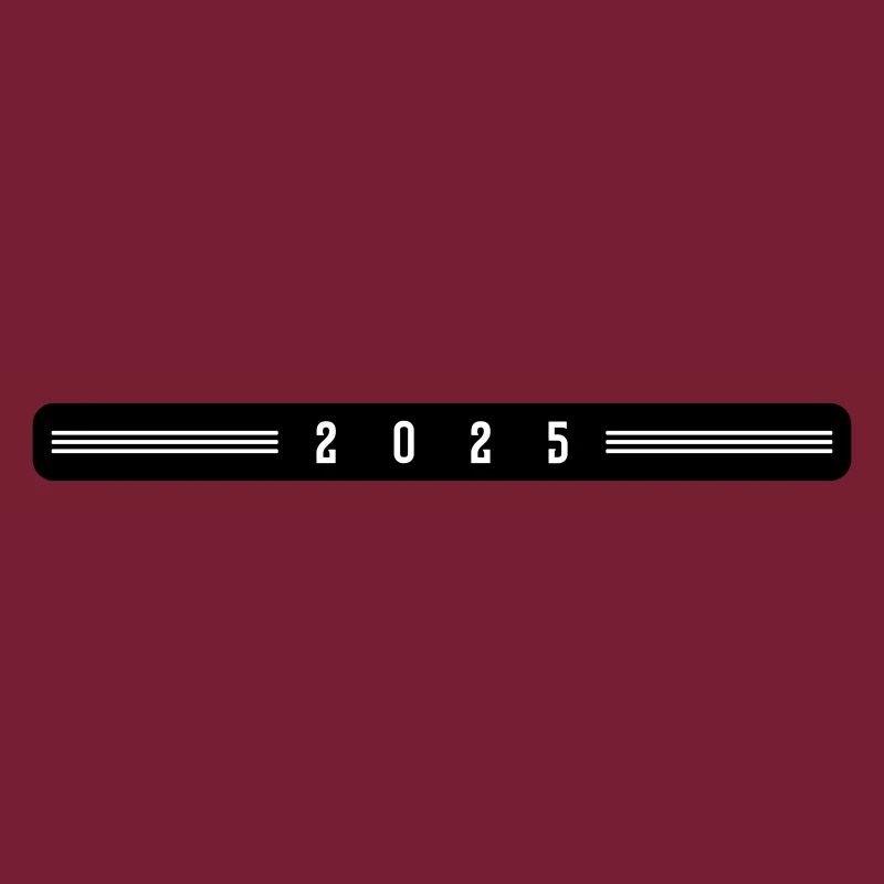 2025 year