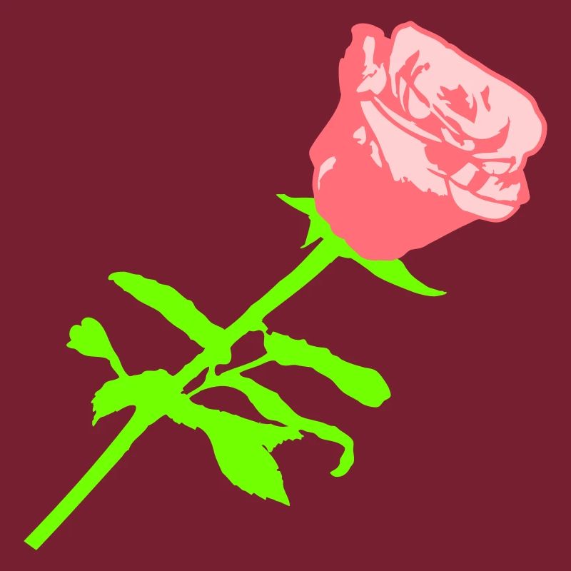 Pretty Beautiful Rose Blossom Leaf Roses Romantic