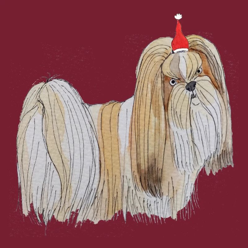 Noël à Lhassa Apso