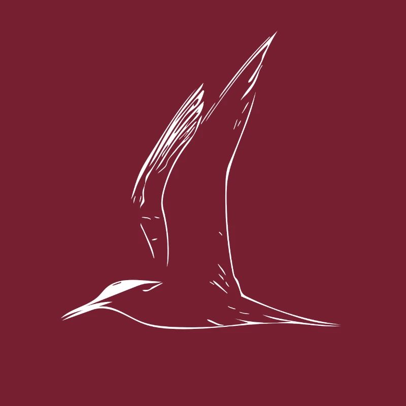 Möwe