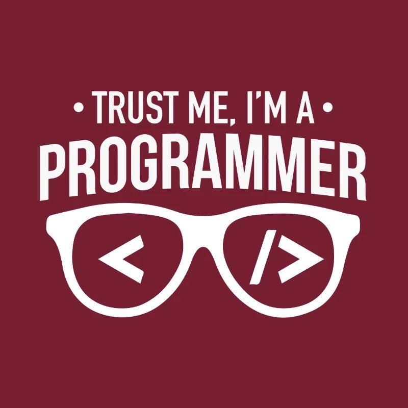 trust me i am a programmer
