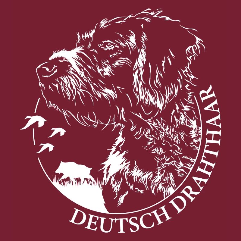 DEUTSCH DRAHTHAAR Wilsigns Jagdhund Jagdhunde