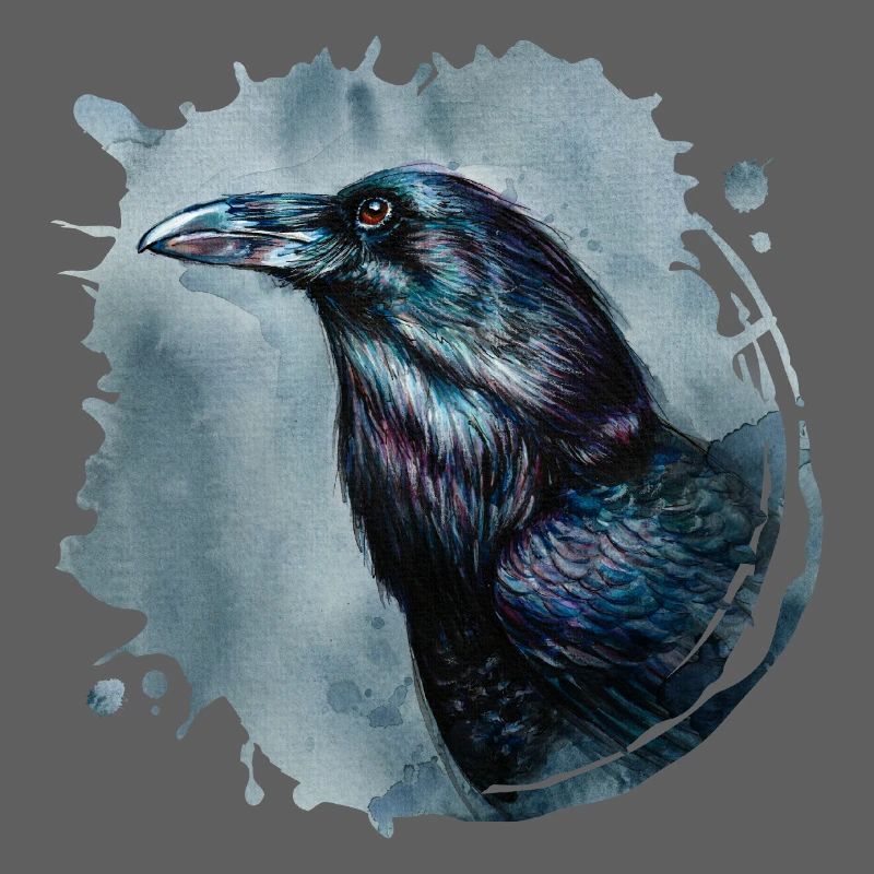 Rabe | raven