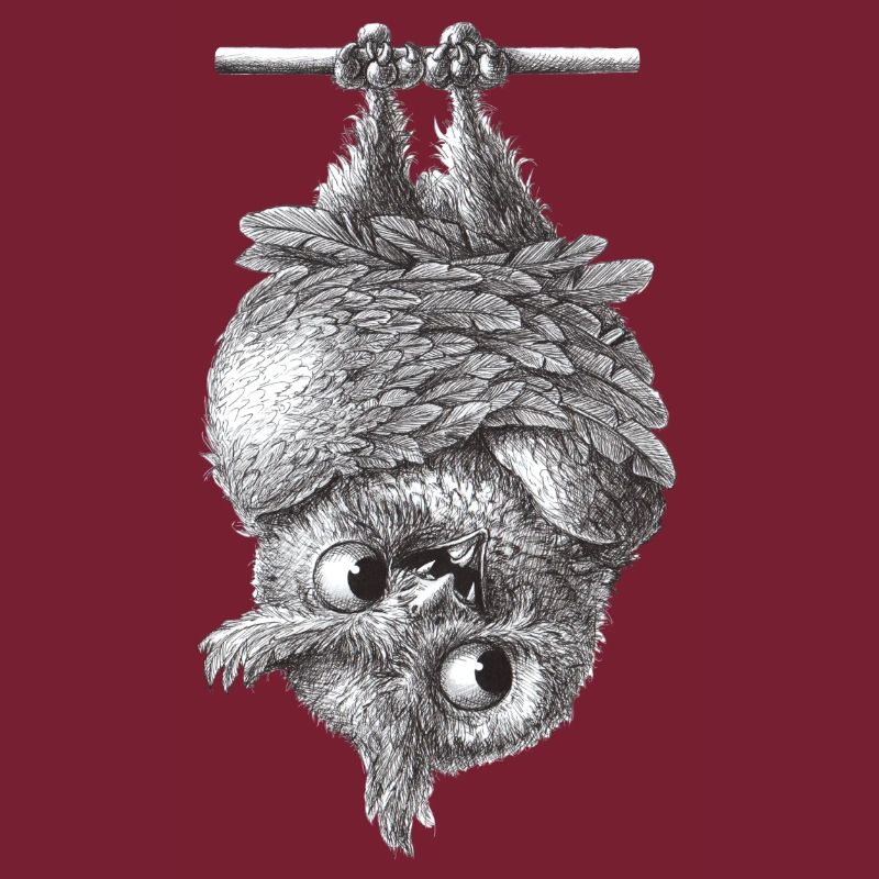 Vampir Eule - Dracula Eule