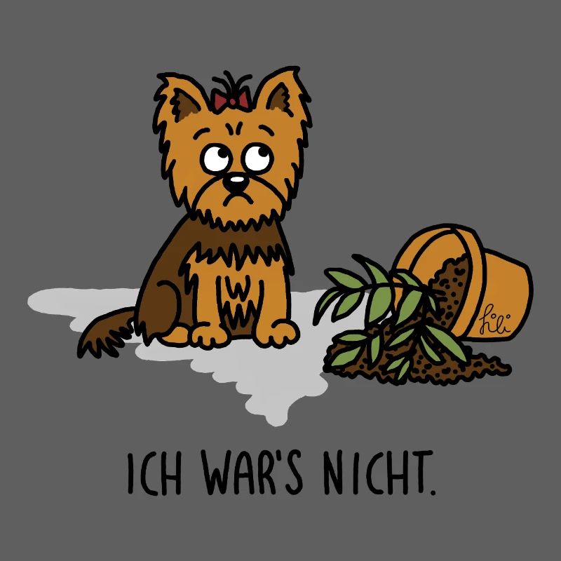 Dog Yorkshire Terrier – It wasn't me!