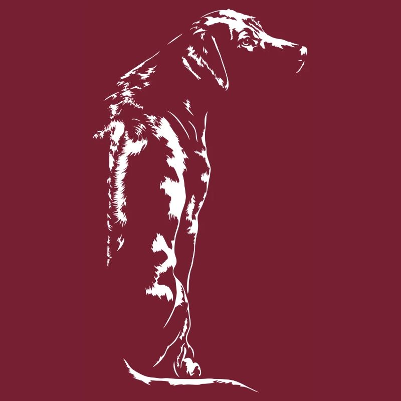 RHODESIAN RIDGEBACK RR Wilsigns canine dog
