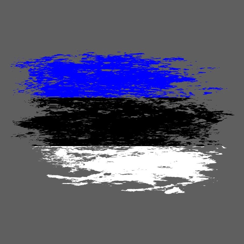 Drapeau de l’Estonie utilisé