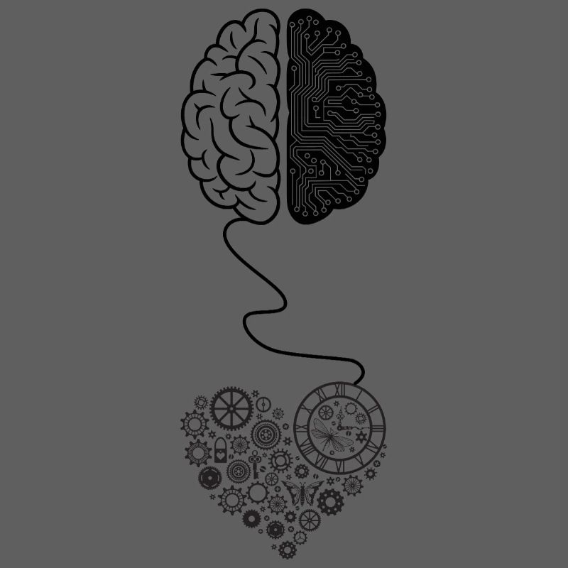 Biomechanical Brain Circuit Design