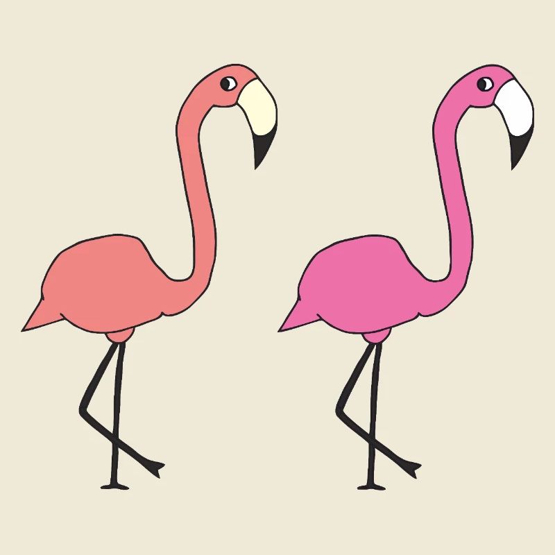 flamingo freunde
