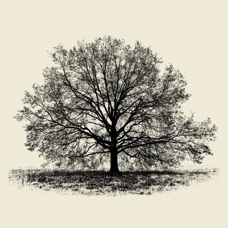 Baum in Schwarz