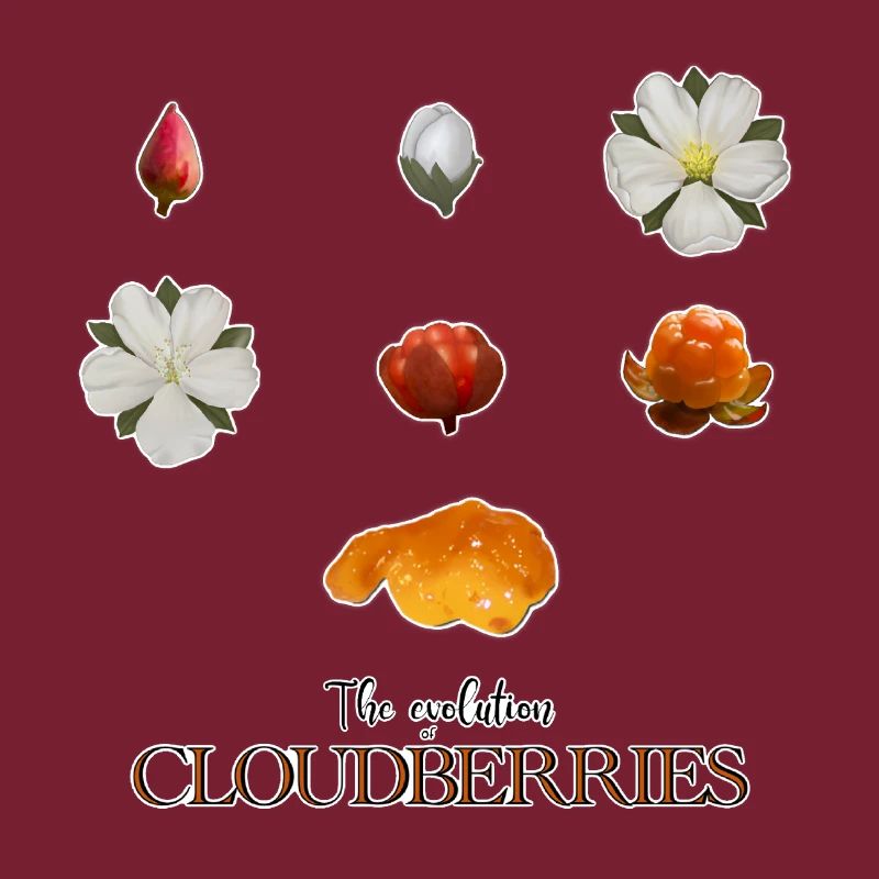 The Evolution of Cloudberries