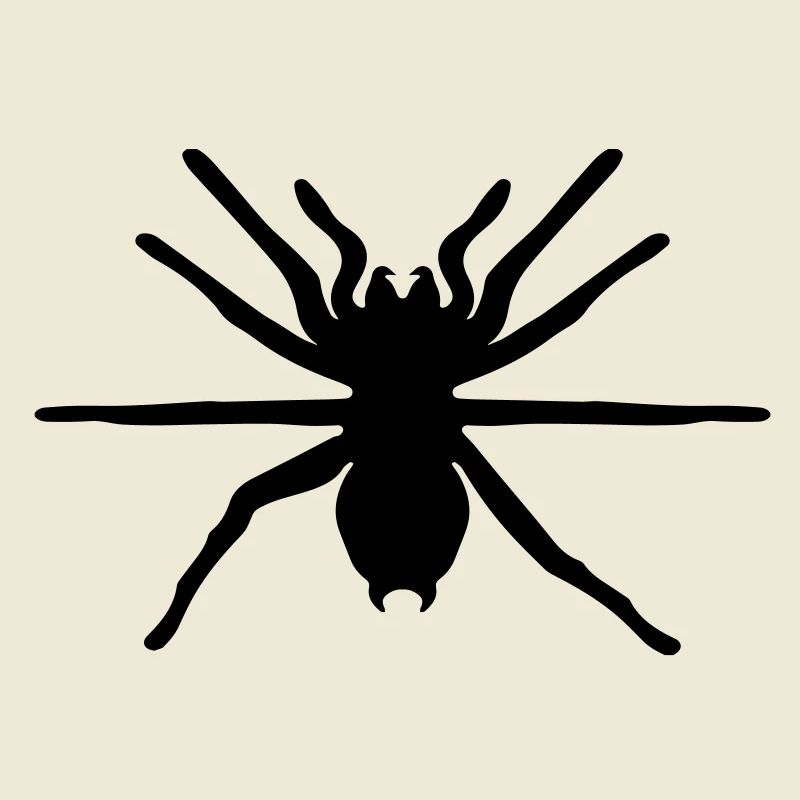spinne