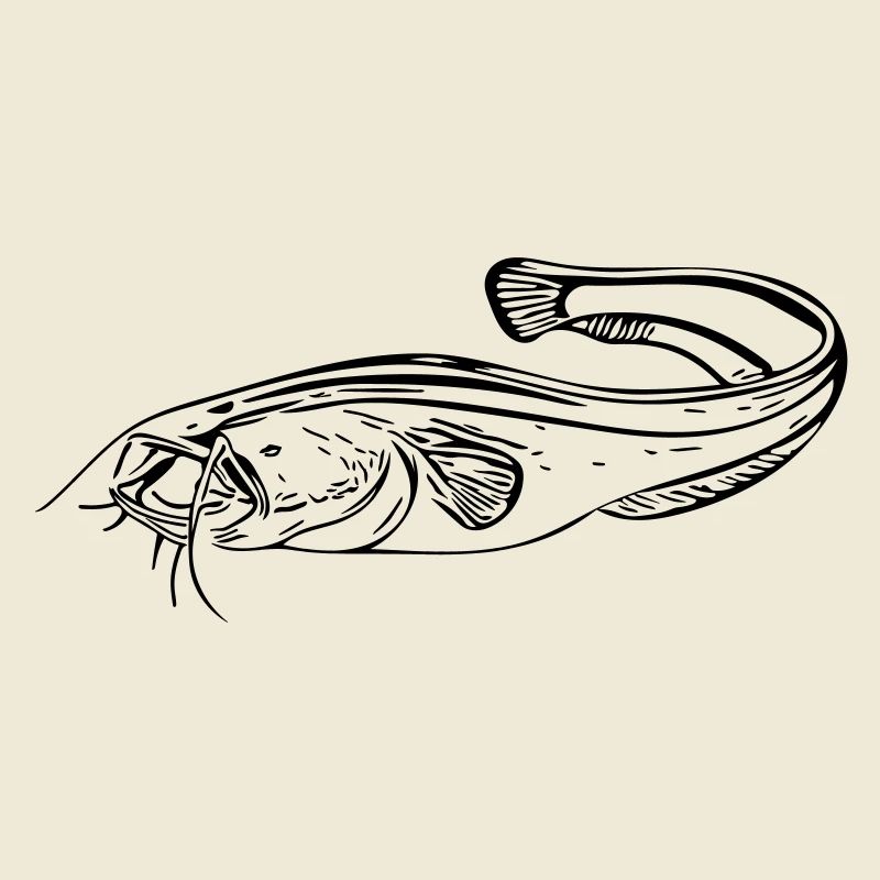 Poisson-chat - pêcheur