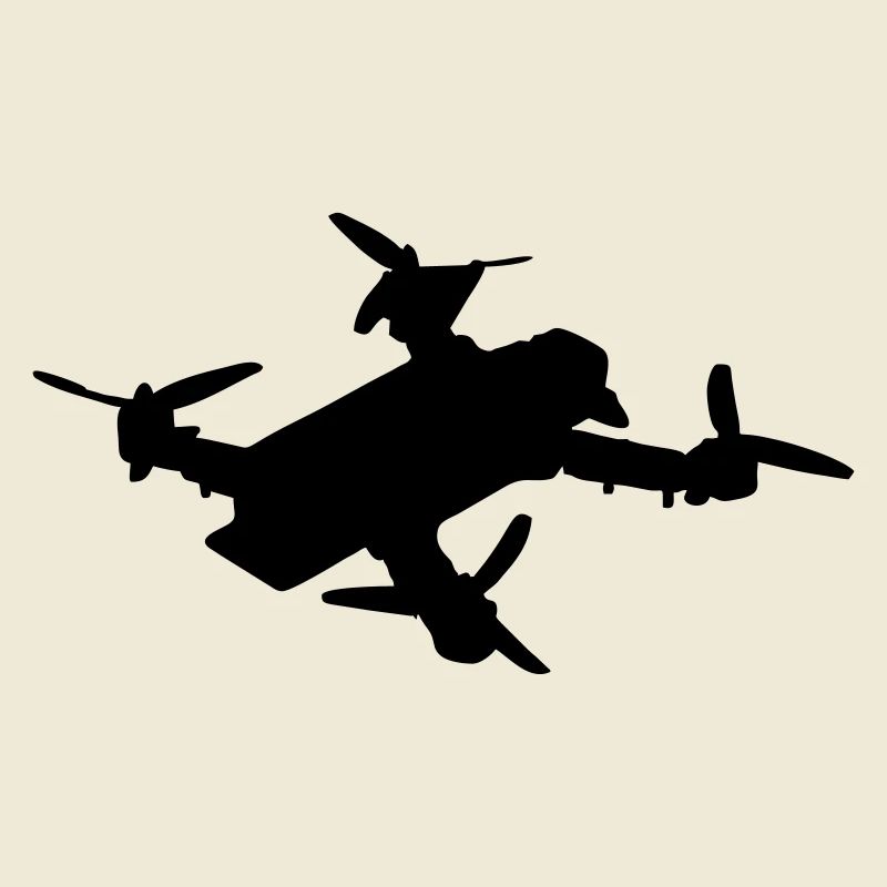 Drohne 2