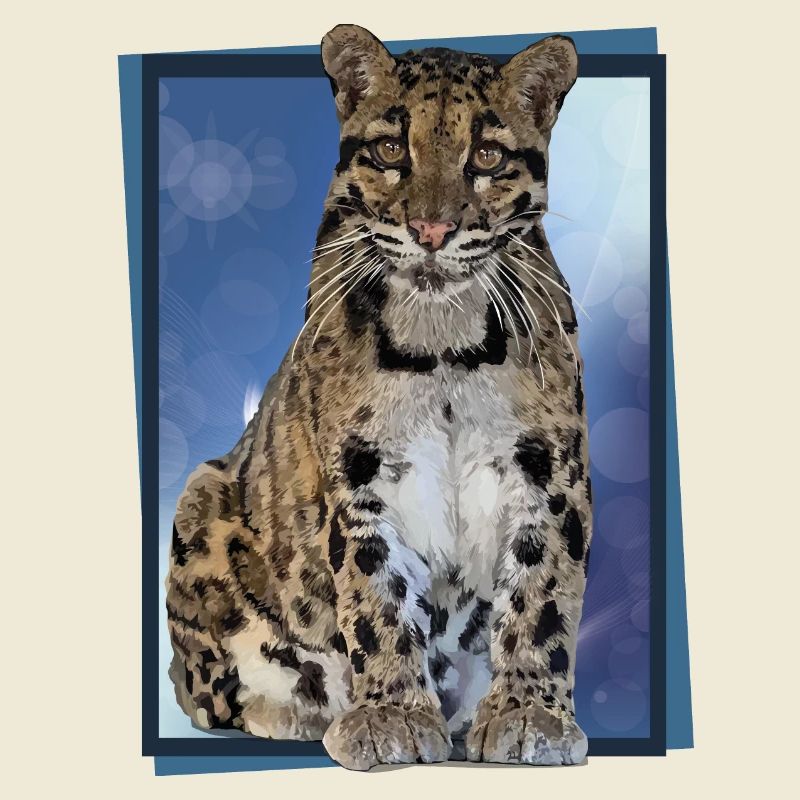 Clouded leopard