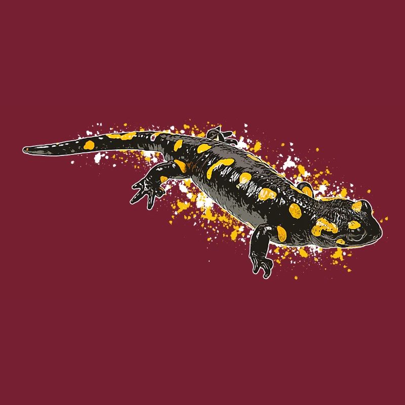 Feuersalamander Salamander