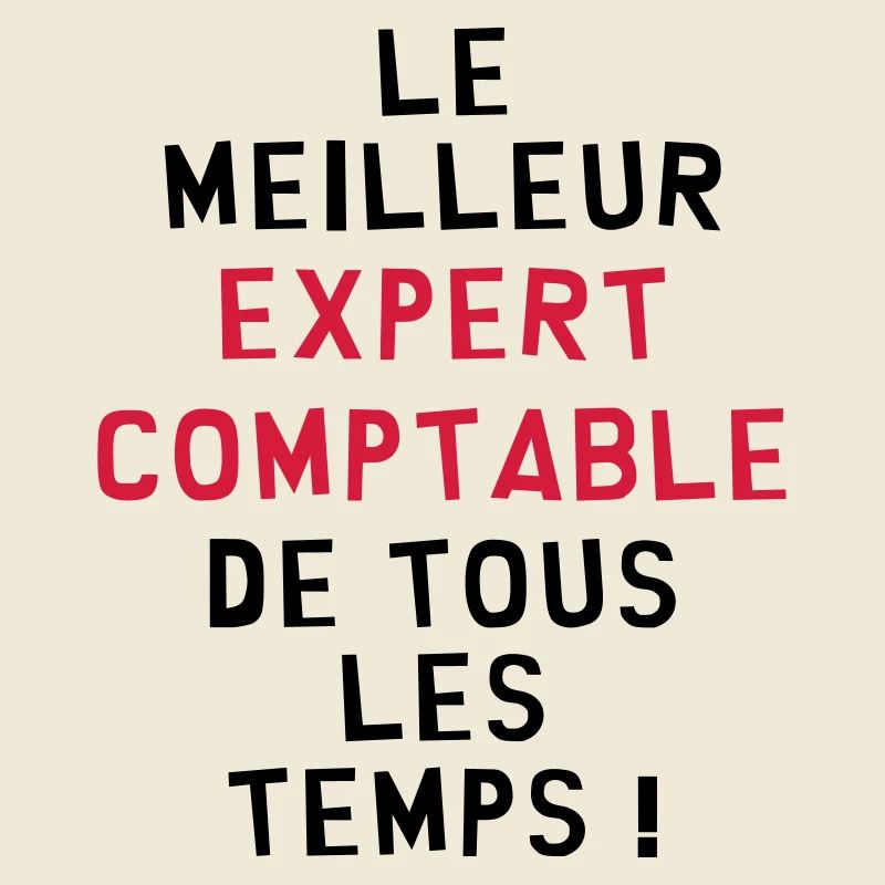 Expert Comptable / Comptabilité / Comptable /