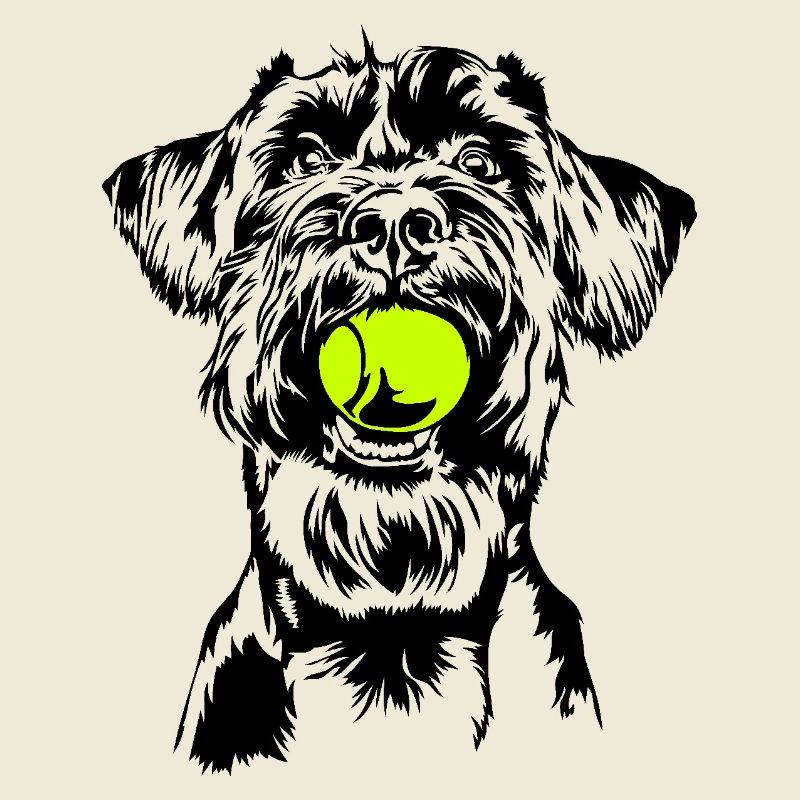 Schnauzer géant Schnauzer chien chien Wilsigns