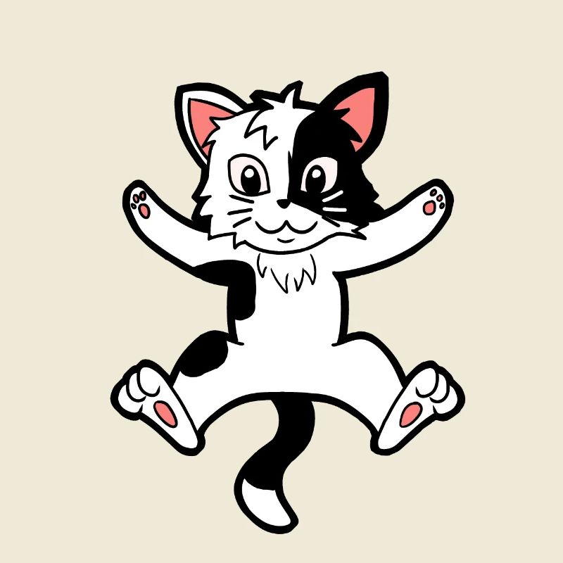 Kitten cat cats