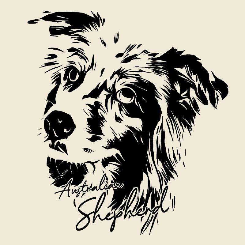 Australian Shepherd