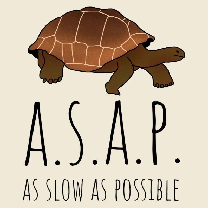 A.S.A.P - as slow as possible Turtle