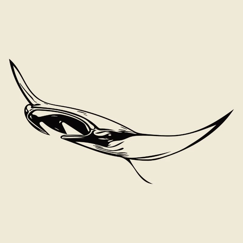 Elegant floating manta rays