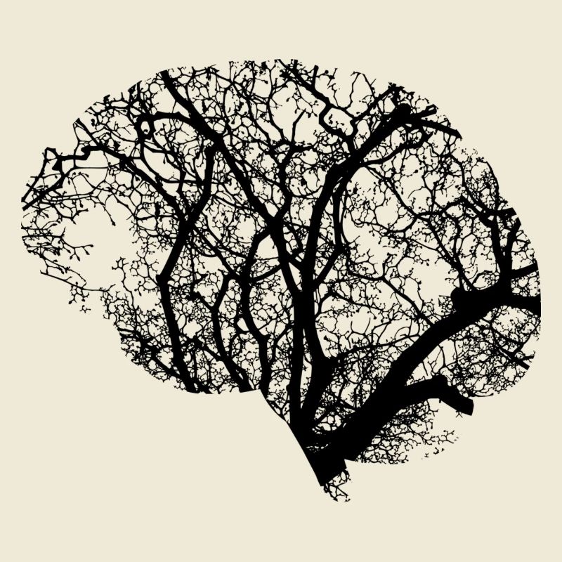 Brain design