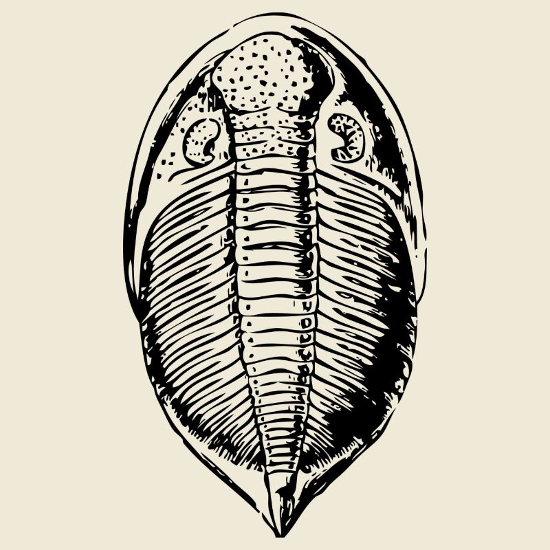 Fossil