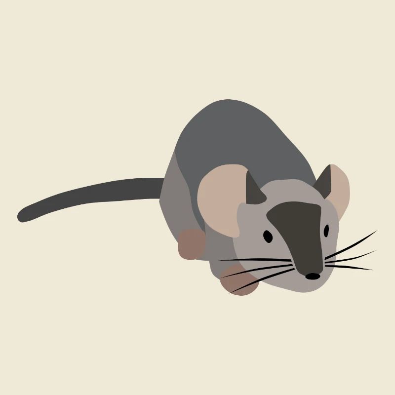 Gray mouse