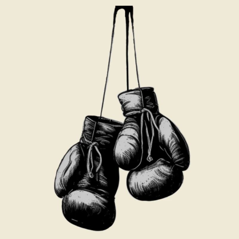 Boxhandschuhe