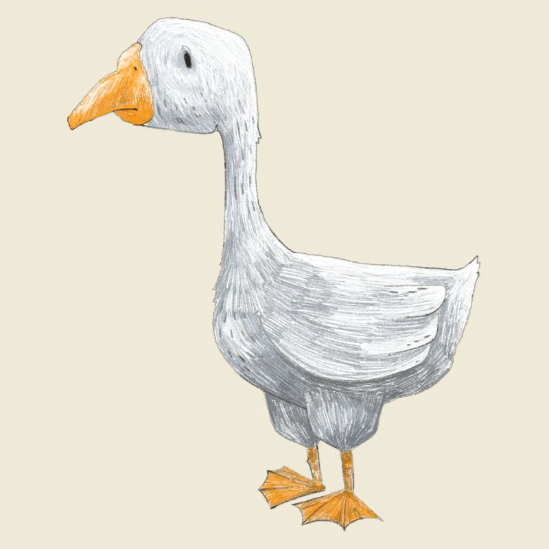 Eine kleine Gans