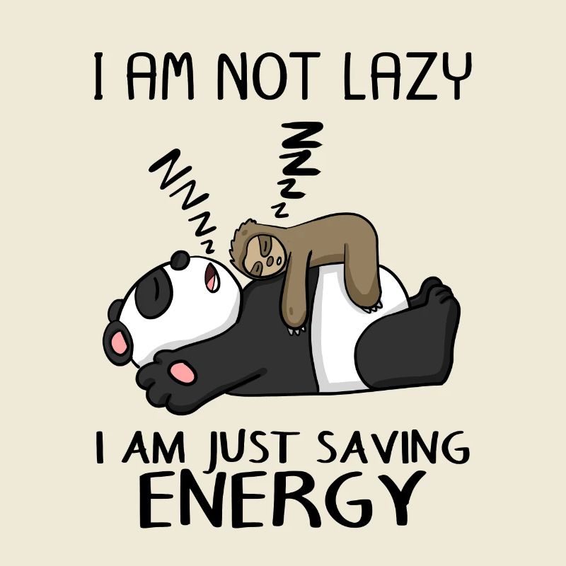 Funny Sloth Panda Saying Funny Gift