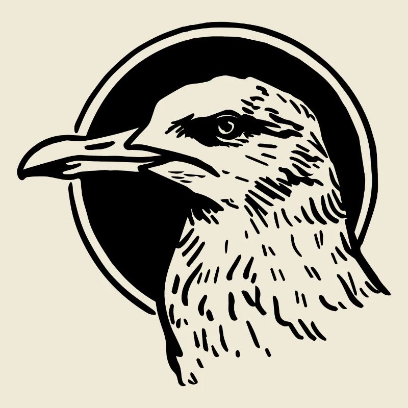 Möwe
