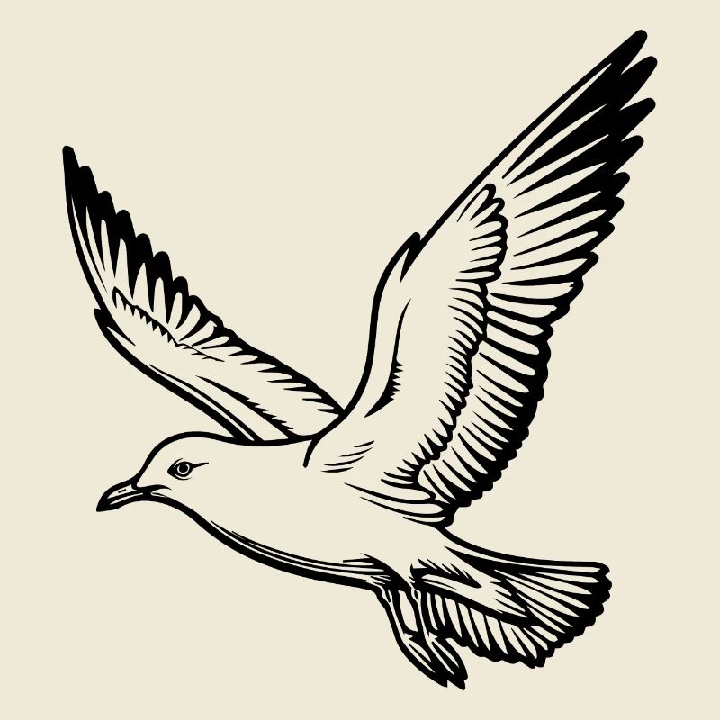 Möwe