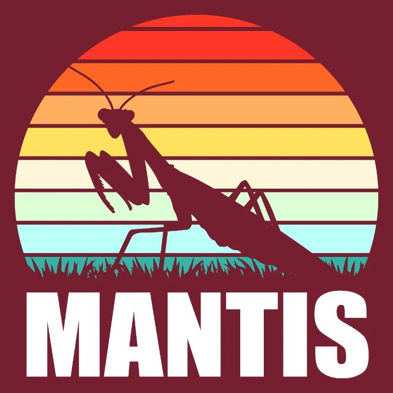 Mantis Gottesanbeter Gottesanbeterin
