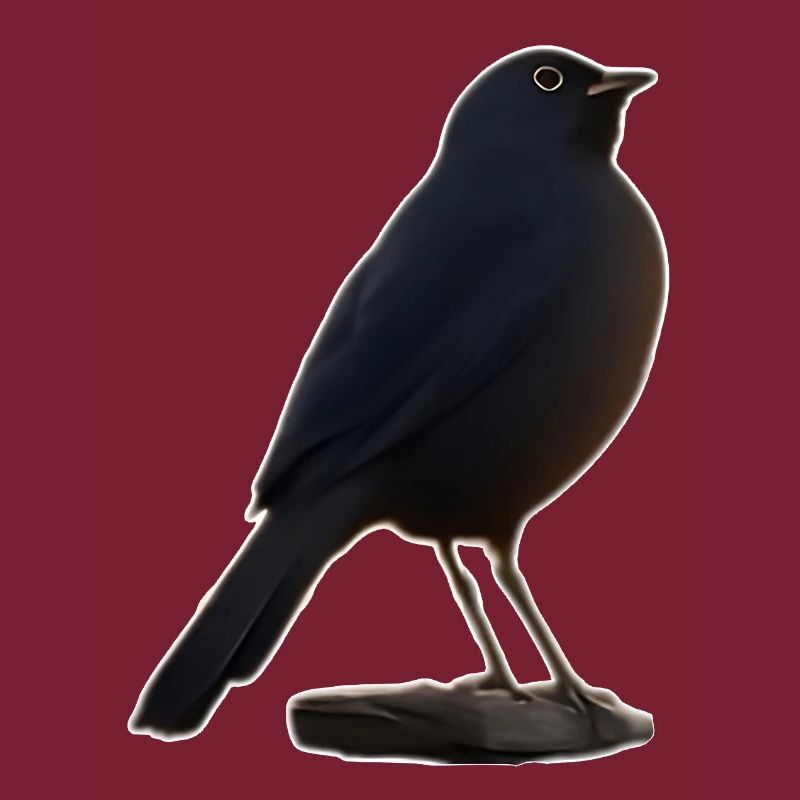 Amsel