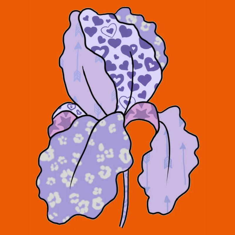 Bunte_Iris